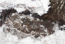 Merkkejä kalliossa.